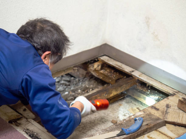 Best Mold Testing  in Bryn Mawr Skyy, WA