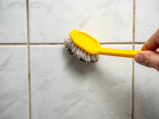 Best Commercial Mold Removal  in Bryn Mawr Skyy, WA