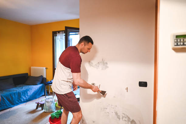 Best Toxic Mold Removal  in Bryn Mawr Skyy, WA