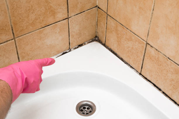 Best Crawl Space Mold Removal  in Bryn Mawr Skyy, WA